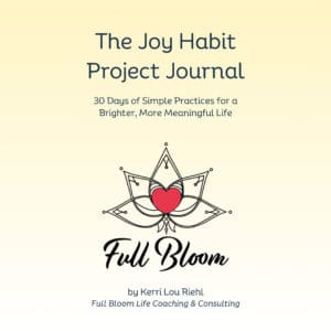 The Joy Habit Project Journal